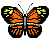 bttrfly.gif (7313 bytes)