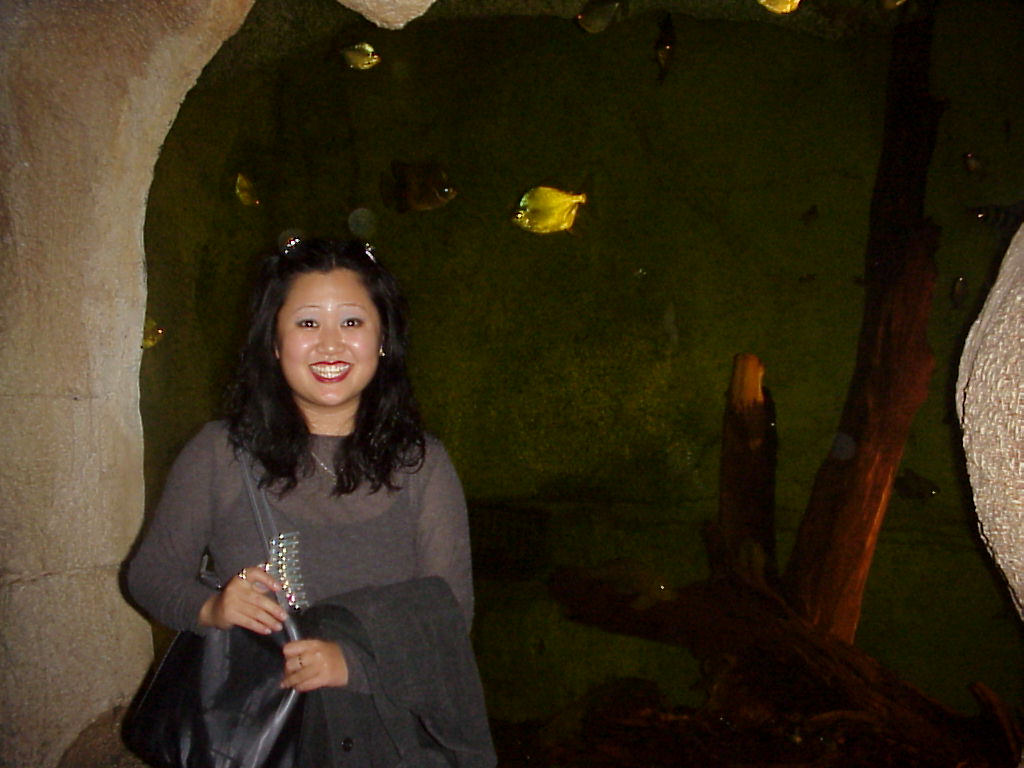 Mvc-563x.jpg (103854 bytes)