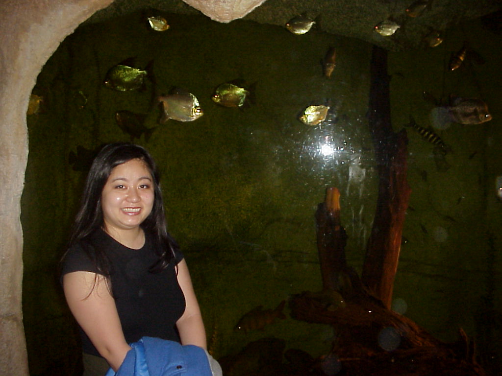 Mvc-564x.jpg (104730 bytes)