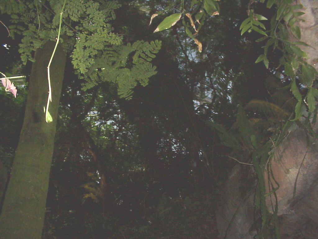 Mvc-565x.jpg (119202 bytes)