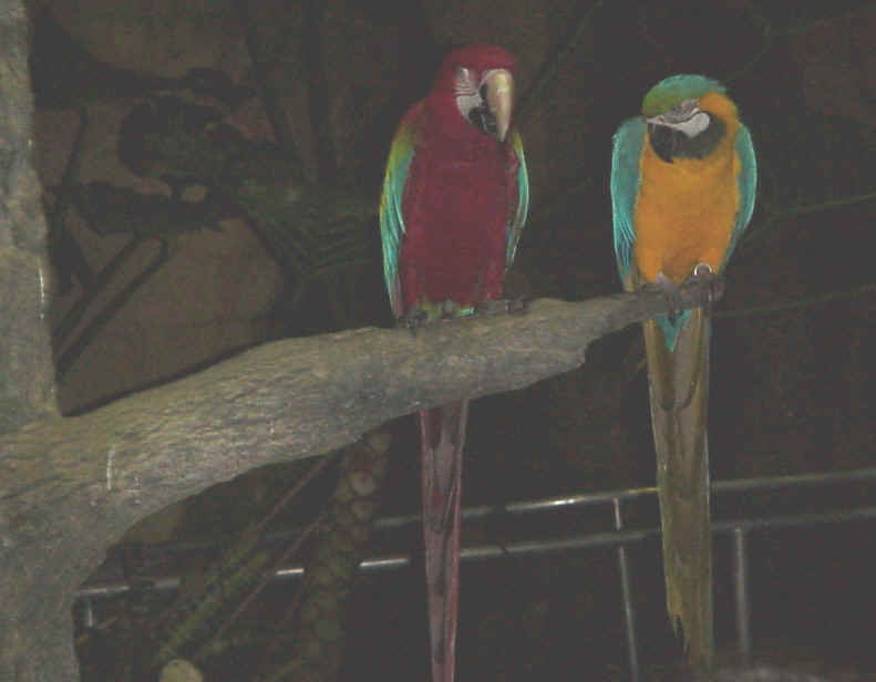 Mvc-567x.jpg (116427 bytes)