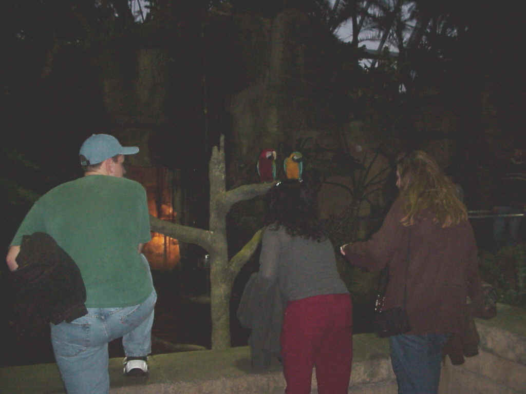 Mvc-570x.jpg (83149 bytes)