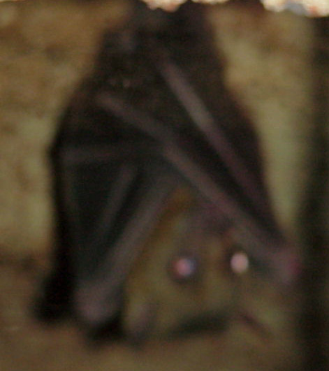 Mvc-574x.jpg (54637 bytes)