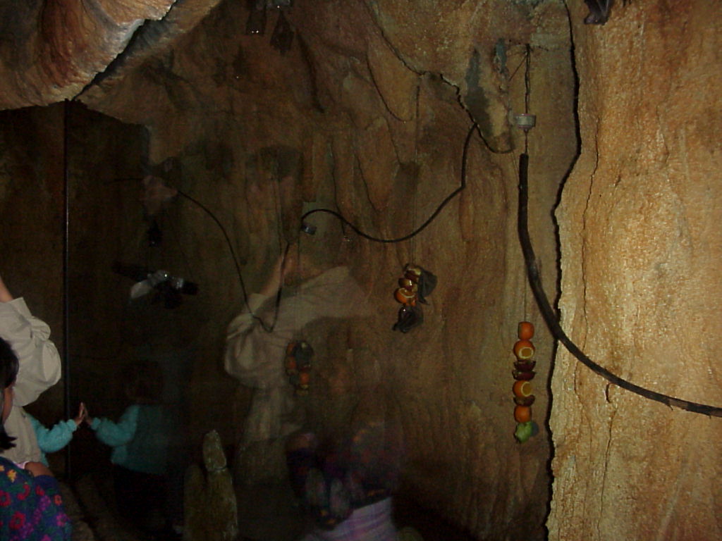 Mvc-575x.jpg (119689 bytes)