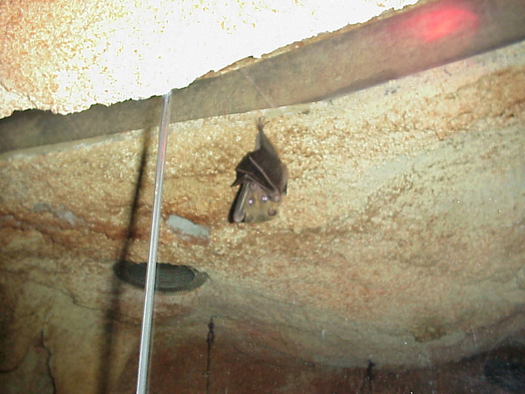 Mvc-576x.jpg (125661 bytes)