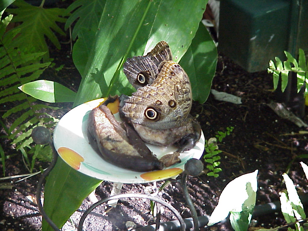 Mvc-589x.jpg (98023 bytes)