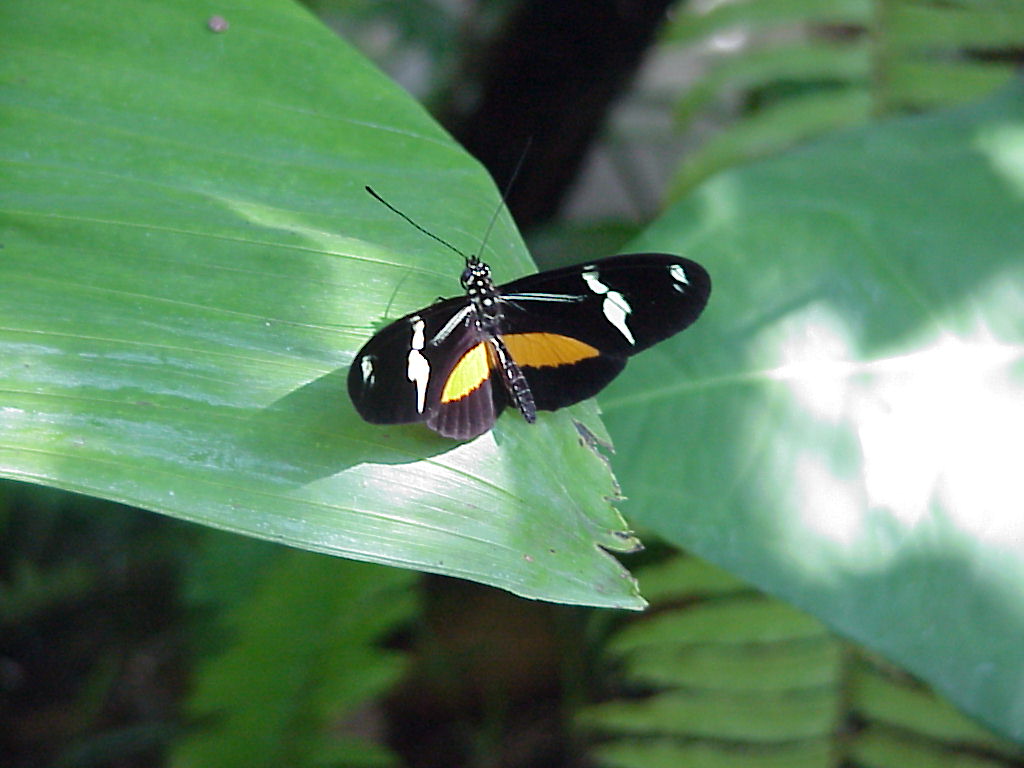 Mvc-591x.jpg (98023 bytes)