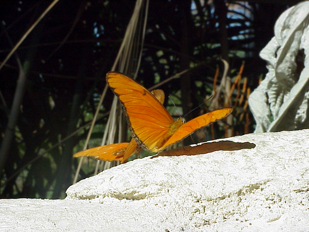 Mvc-596x.jpg (98023 bytes)