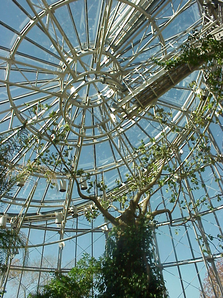 Mvc-603x.jpg (490263 bytes)