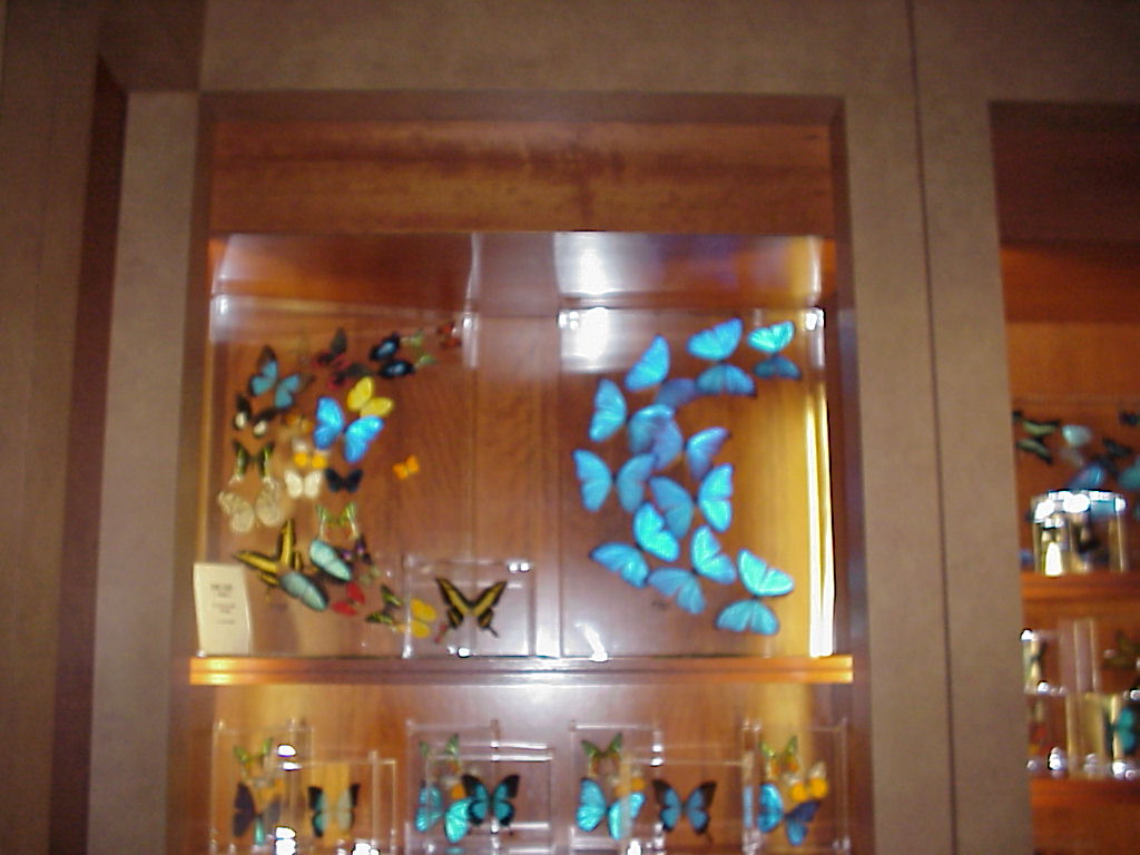 Mvc-609x.jpg (98023 bytes)