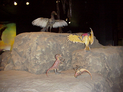 Mvc-620x.jpg (115764 bytes)