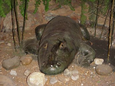 Mvc-621x.jpg (103479 bytes)