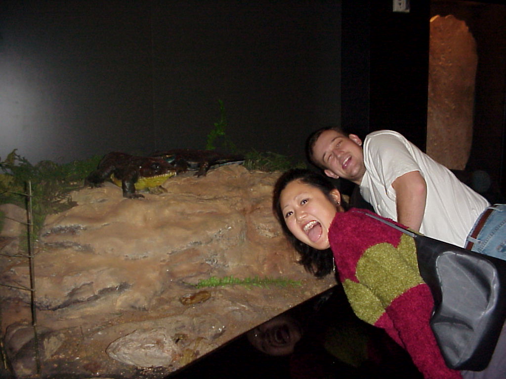 Mvc-620x.jpg (115764 bytes)