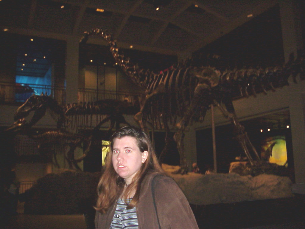 Mvc-621x.jpg (103479 bytes)